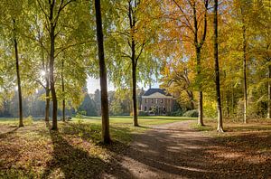 Boslaan in herfstkleuren, buitenplaats Land en Bosch, s-Graveland, , Noord-Holland, Nederland van Rene van der Meer