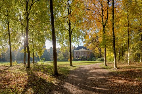 Wood-path in autumn colours, estate Land en Bosch, s-Graveland, Noord-Holland, , Netherlands