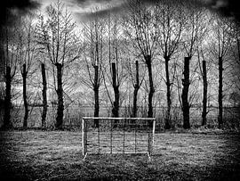 Geen leven zonder doel von Han Balk