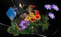 3d afbeelding, Sillleben, bloemstuk.