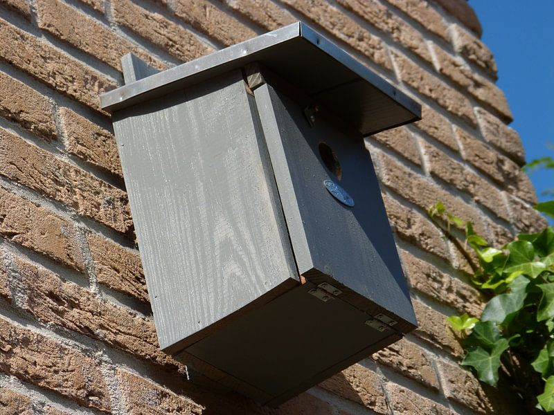 Vogelhuis in de achtertuin by Veluws