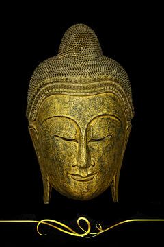 Boeddha of Buddha. Boeddhisme van Gert Hilbink