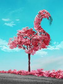 Flamingo Tree in bloom by Martijn Schrijver