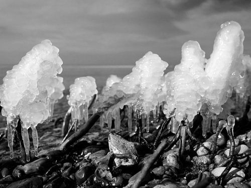 Eis am Stiel – Darß Weststrand im Winter 2018