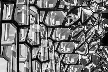 Harpa Concertgebouw Reykjavik