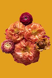 Perfectly Imperfect - mit ockergelbem Hintergrund