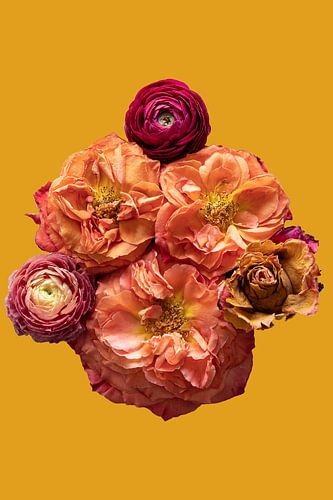 Perfectly Imperfect - mit ockergelbem Hintergrund