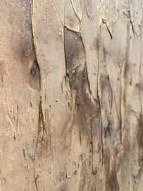 Textured Gold Abstract by Gabriela Aleksandra Szuba
