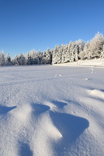 Het recreatieterrein in de winter