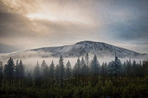 Sonfjället in silence