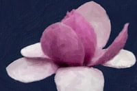Tulpenboom bloem
