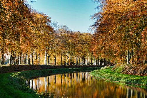 Beuken Schipbeek
