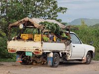 Vegetable Truck