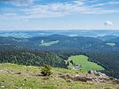 Blick über den Schwarzwald in Deutschland von Animaflora PicsStock Miniaturansicht