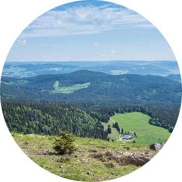 Uitzicht over het Zwarte Woud in Duitsland van Animaflora PicsStock