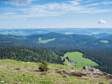 Blick über den Schwarzwald in Deutschland von Animaflora PicsStock