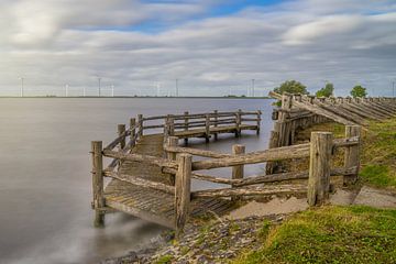 Palendijk dans le vent