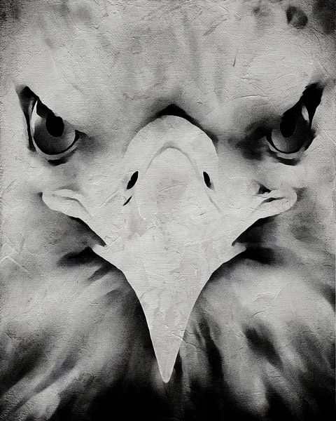Porträt eines Adlers von Jan Keteleer