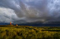 Vuurtoren van Texel in de duinen tijdens een stormachtige herfstochtend van Sjoerd van der Wal Fotografie thumbnail