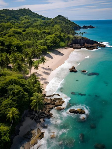 Tropical Palm Beach V3 by drdigitaldesign