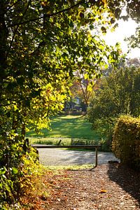 Autumn atmosphere in Bremen Switzerland