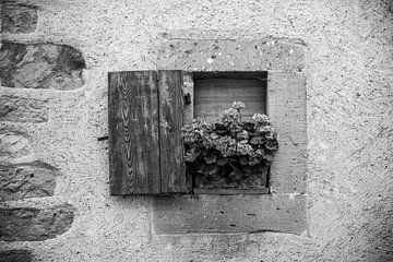 Schwarz-Weiß-Fotografie eines Fensters mit Fensterladen und Blumen in einer Steinbetonwand von Monique Tekstra-van Lochem