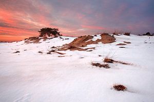 Sneeuw en Zand IV van Mark Leeman