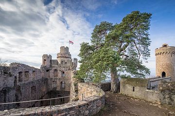 Oud pijnbomenkasteel Auerbach van Jürgen Schmittdiel Photography