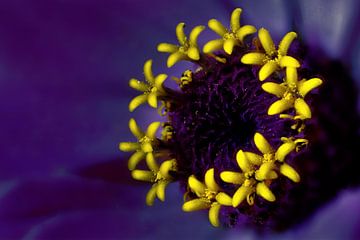 flower in flower flower art