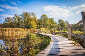 De brug naar het mooie herfstlandschap.
