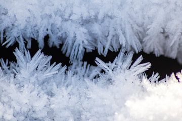 Prachtige ijskristallen in de winterzon van Your Happy Life