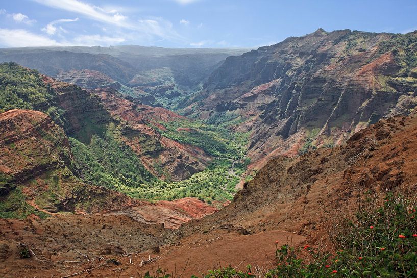 Waimea Canyon - Kauaʻi, Hawaii von t.ART
