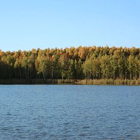 Natuur in Anloo von Loorsin