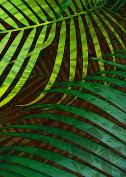 TROPICAL GREENERY LEAVES no5 sur Pia Schneider