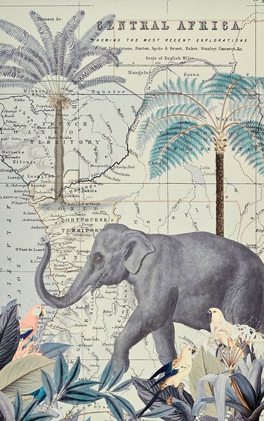 The journey of the elephants by Andrea Haase