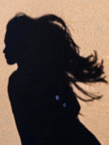 Silhouet op zee