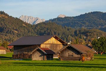 Heustadel mit Wiese und Alpen im Abendlicht