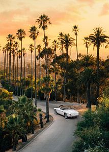 Sunset Boulevard