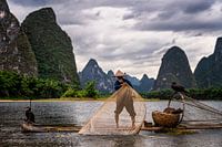 Fishing with cormorant in China