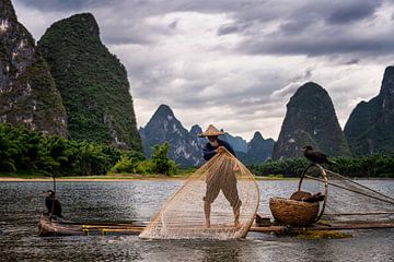 Fishing with cormorant in China by Michael Bollen