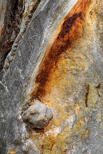 Boombast met warme aardse tinten