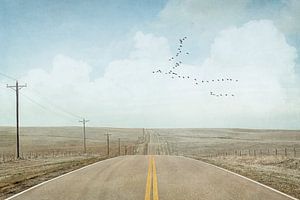 Une route sans fin