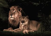 lion family with 1 cub