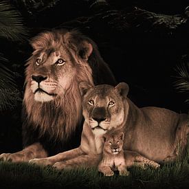 leeuwen familie met 1 welp van Bert Hooijer