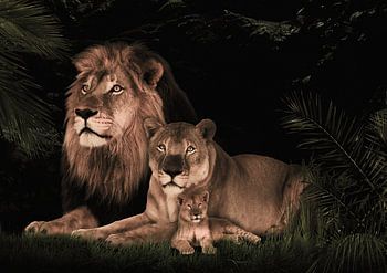 leeuwen familie met 1 welp