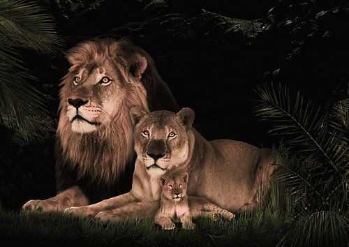 leeuwen familie met 1 welp