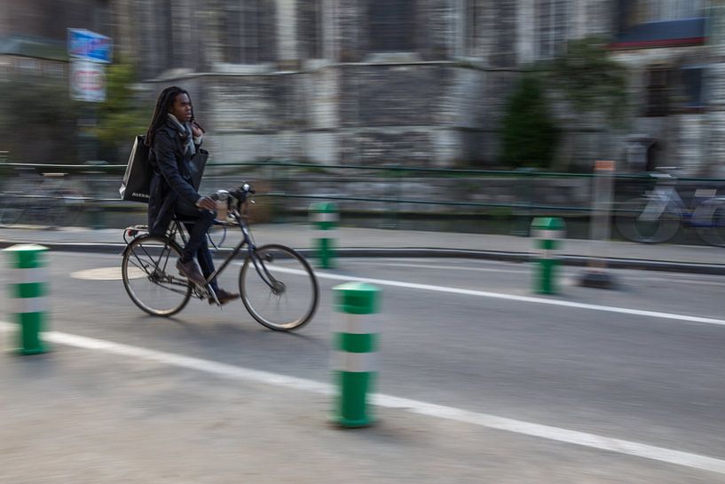 De fietser in beweging van didier de borle