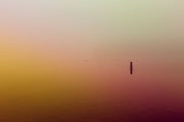 Ultieme leegte door roze mist over de Rijkerswoerdse Plassen van Robert Wiggers