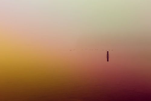 Ultieme leegte door roze mist over de Rijkerswoerdse Plassen