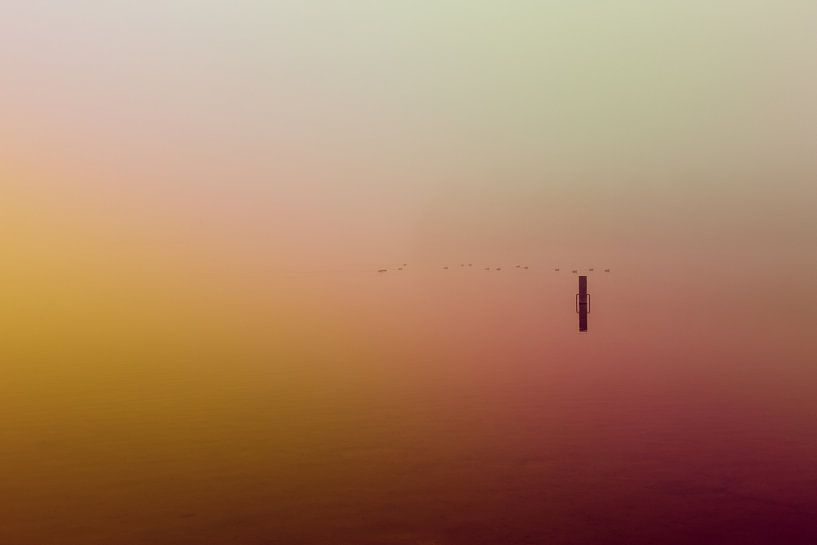 Ultieme leegte door roze mist over de Rijkerswoerdse Plassen von Robert Wiggers
